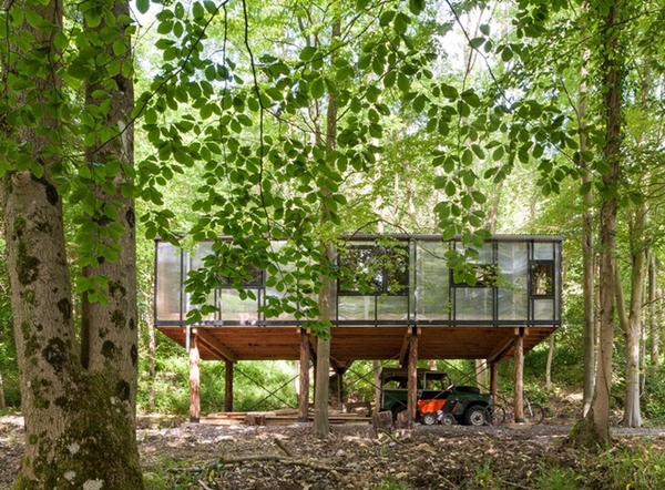 森林中的辦公室裝修也可以很有愛！