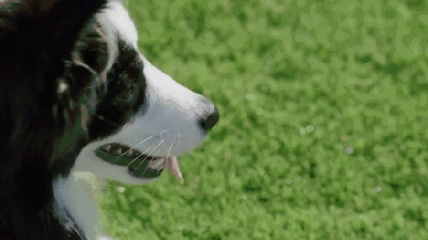 2017年＊流行，是時(shí)候給你點(diǎn)綠色瞧瞧了～