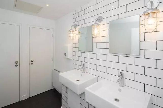 150億市場潛力，辦公室裝修也要開始考慮狗狗的感受了